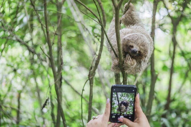 Coffee & Chocolate Tour+Sloths Park & Llanos de Cortez Waterfall - A Detailed Look at the Coffee & Chocolate Tour + Sloths Park & Llanos de Cortez Waterfall