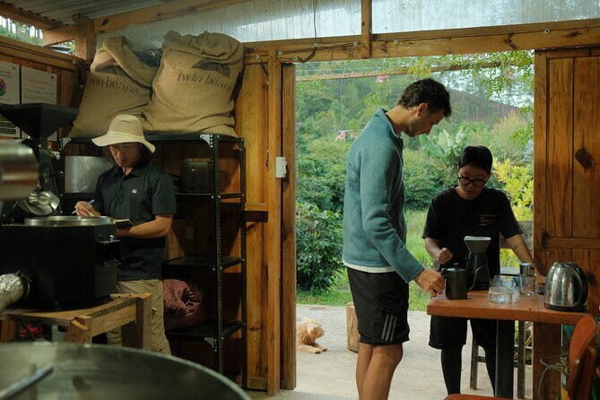 Coffee Farm Tour with Tasting and Workshop at Da Lat - A Deep Dive into the Coffee Farm Tour Experience