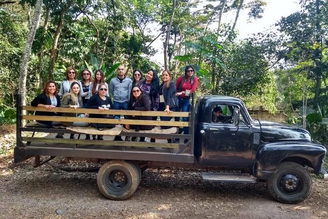Coffee Museum and Coffee Tour el Cafe-tal apan - Experience the Coffee Culture of Coatepec: An In-Depth Review of the Coffee Museum and Coffee Tour el Cafe-tal apan
