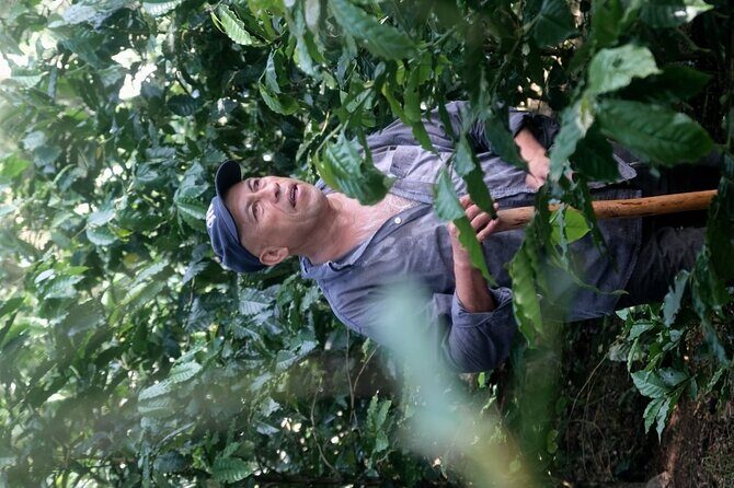 Coffee Museum and Coffee Tour el Cafe-tal apan - Who Is This Tour Best For?