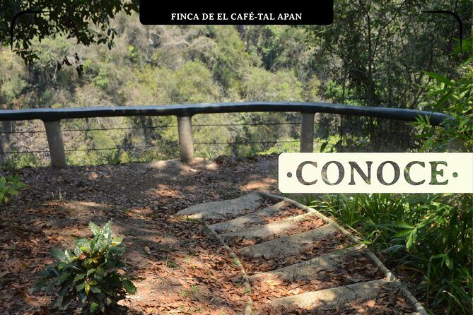 Coffee Museum and Coffee Tour el Cafe-tal apan - The Sum Up: Is It Worth It?