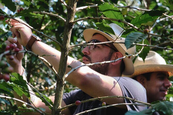 Coffee Museum and Coffee Tour el Cafe-tal apan - Frequently Asked Questions