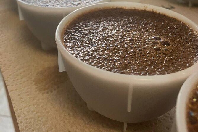 Coffee Sensory Training in Ljubljana - Who Will Love This Experience?