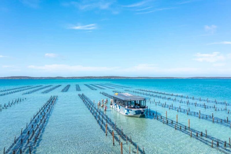 Coffin Bay: Oyster Farm Boat Tour with Wading & 12 Oysters - A Detailed Look at What You Can Expect