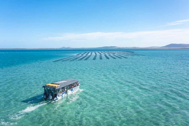 Coffin Bay: Oyster Farm Boat Tour with Wading & 12 Oysters - Who Should Consider This Tour?