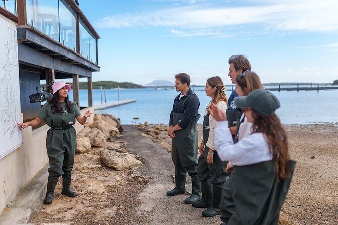 Coffin Bay Oyster Farm Wading Tour & Tasting Experience - Final Thoughts: Who Should Book This Tour?