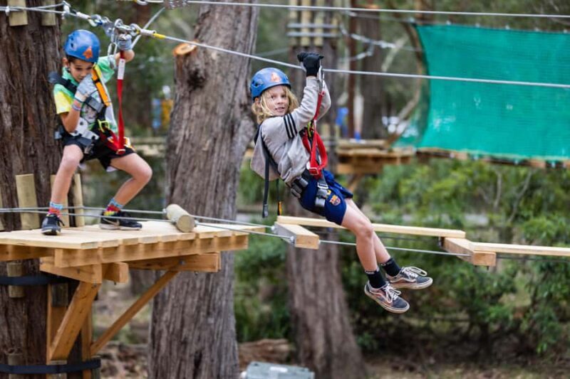 Coffs Harbour: Junior Tree Ropes Course - Who Should Consider This Experience?