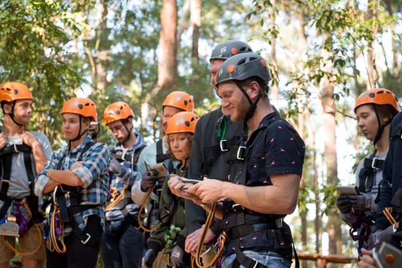 Coffs Harbour: Treetops Adventure Tree Ropes Course - Coffs Harbour: Treetops Adventure Tree Ropes Course — An In-Depth Review