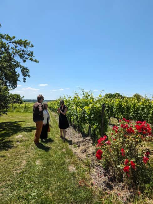 Cognac 4x4 getaway in the vineyards and visit/tasting at a winemaker's estate - What Sets This Tour Apart?