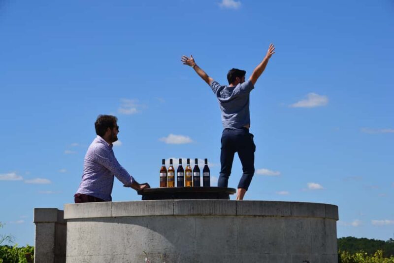 Cognac: 4x4 vineyard tour and cocktail - Key Points