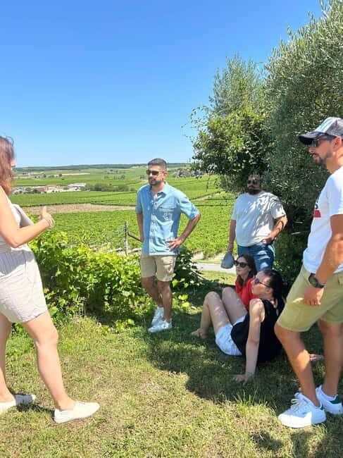 Cognac: 4x4 vineyard tour and cocktail - An In-Depth Look at the Experience