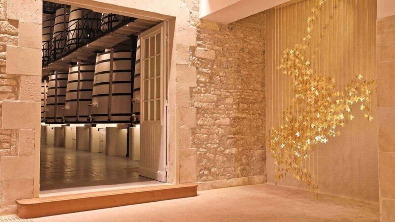 Cognac: Rémy Martin 300th Anniversary Tour - Authentic Feedback from Visitors