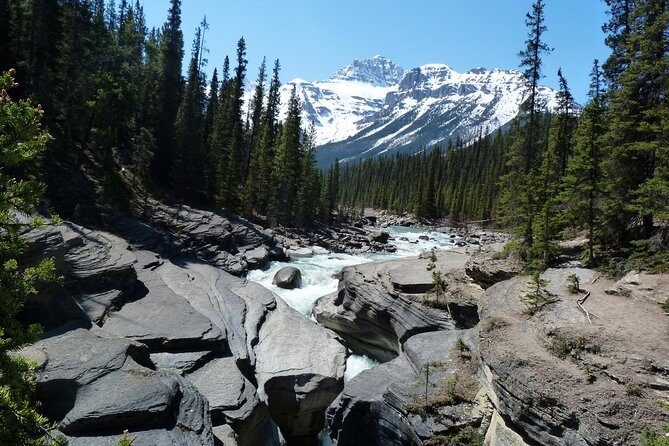 Coho - Explore Banff and Jasper National Parks (4-Days) - Day 4: The Icefield and Jaspers Waterfalls
