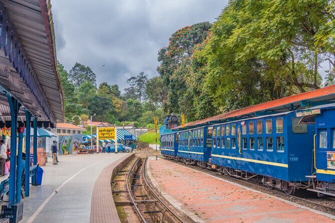 Coimbatore to Ooty- transfers+Hotel+Sightseeing - First Impressions in Ooty: Heritage and Relaxation