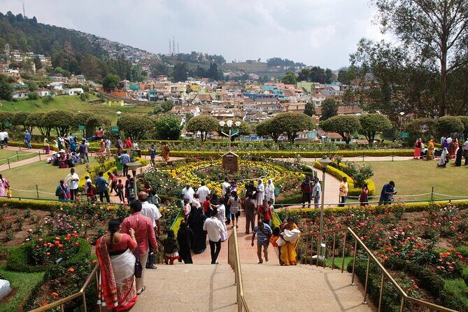 Coimbatore to Ooty- transfers+Hotel+Sightseeing - Authentic Experiences that Stick