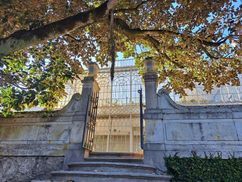 Coimbra Botanical Garden Tour: Storytelling Through Nature - The Experience: What to Expect from the Coimbra Botanical Garden Tour