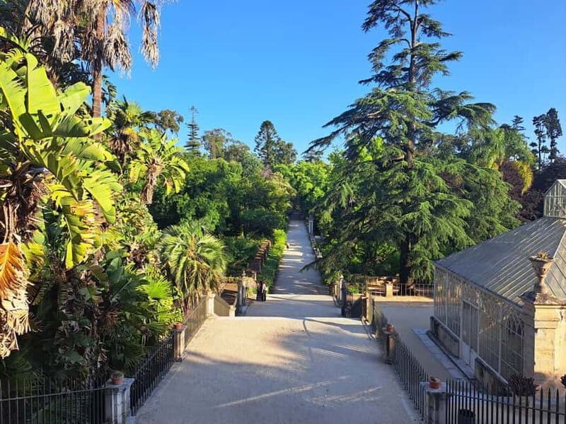 Coimbra Botanical Garden Tour: Storytelling Through Nature - What’s Included and Practical Details