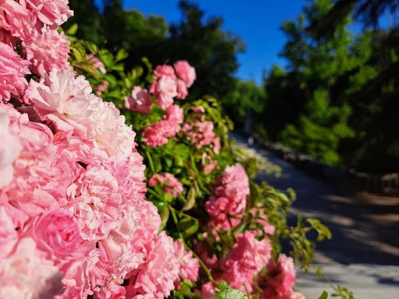 Coimbra Botanical Garden Tour: Storytelling Through Nature - The Value of This Tour: Is It Worth It?