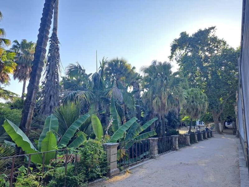 Coimbra Botanical Garden Tour: Storytelling Through Nature - The Sum Up