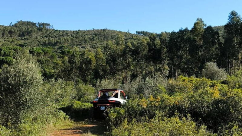 Coimbra - Condeixa: 120-minute Off-road Buggy Adventure - FAQs