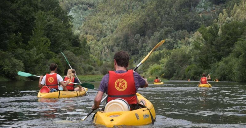 Coimbra: Mondego River Kayaking Tour - An In-Depth Look at the Mondego River Kayaking Experience