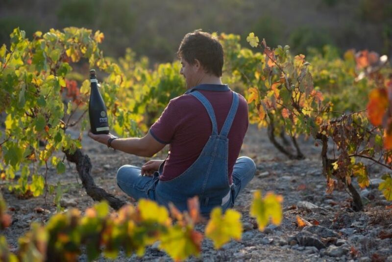 Coimbra: Prior Lucas Wine Experience - Coimbra: Prior Lucas Wine Experience