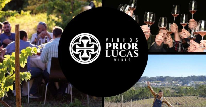 Coimbra: Prior Lucas Wine Experience - Who Will Love This Experience?