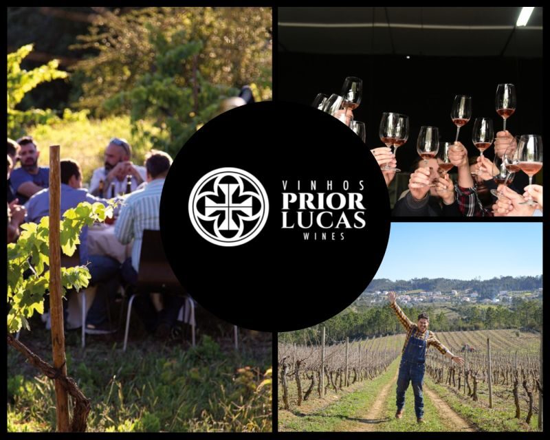 Coimbra: Prior Lucas Wine Experience - The Sum Up