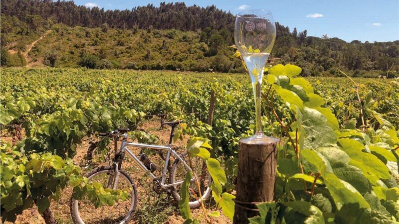 Coimbra: Prior Lucas Wine Experience - FAQ