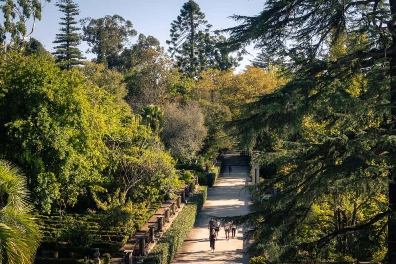Coimbra: Private & Flexible Walking Tour in Historic Center - FAQ