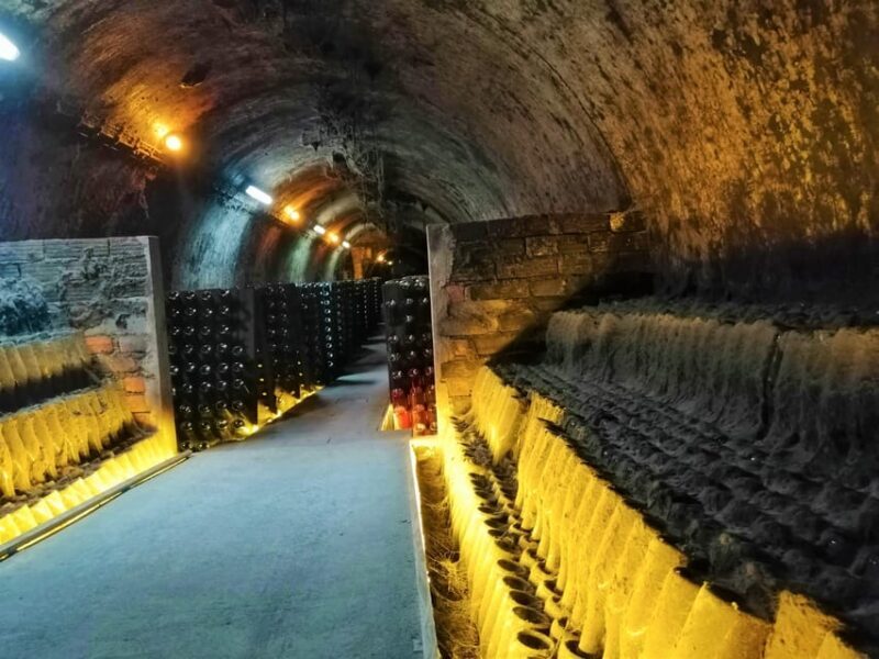 Coimbra: Rota da Bairrada gastronomic tour - Key Points