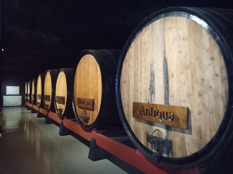 Coimbra: Rota da Bairrada gastronomic tour - Exploring the Itinerary in Detail