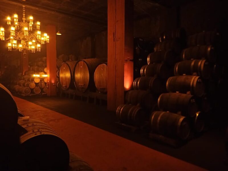 Coimbra: Rota da Bairrada gastronomic tour - Who Will Love This Tour?