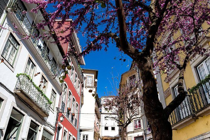 Coimbra's Historical Highlights - The Experience: Deep Dive into the Sights