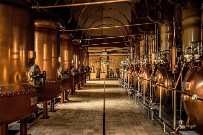 Cointreau Distillery: Guided tour and cocktail event - Key Points
