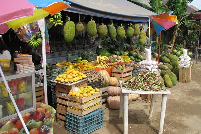 colima cultural and volcano - The Experience in Practice: What You Can Expect