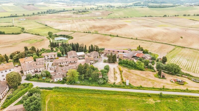 Colle Val d'Elsa: tour and a tasting of an authentic farm - A Deep Dive into the Farm Tour and Tasting Experience