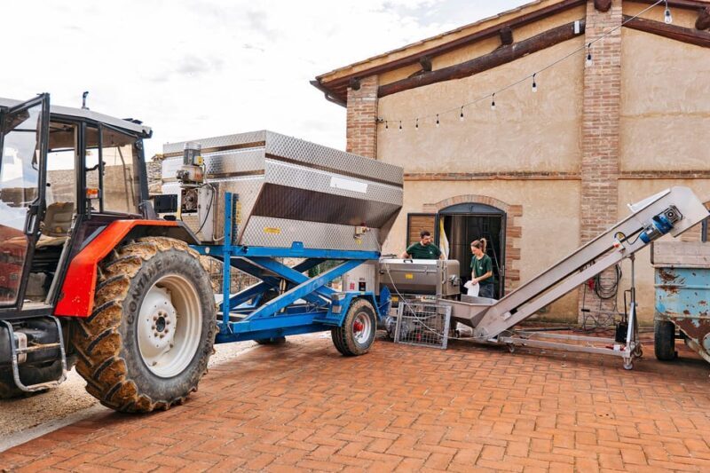 Colle Val d'Elsa: tour and a tasting of an authentic farm - Who Will Love This Experience?