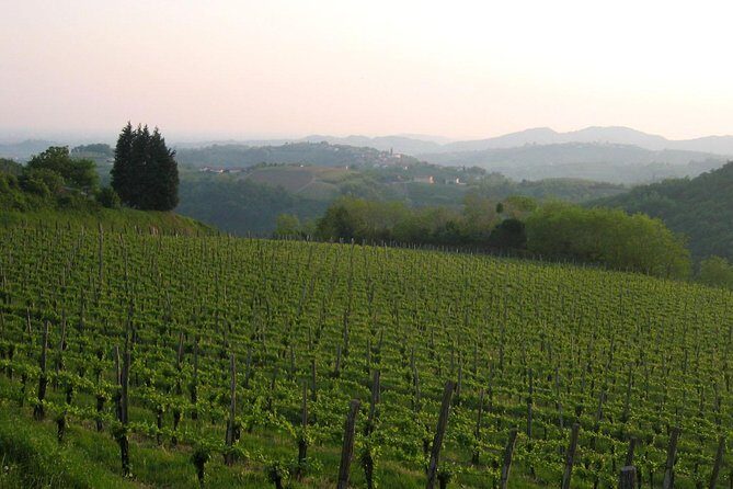 Collio: Cividale Del Friuli and Wine Tastings from Trieste - FAQ