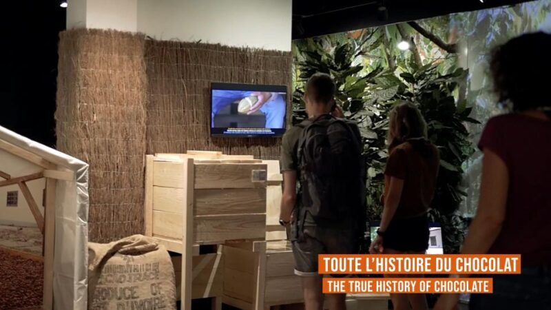 Colmar: Chocolate Museum Entrance Ticket - A Deep Dive into the Chocolate Museum Experience