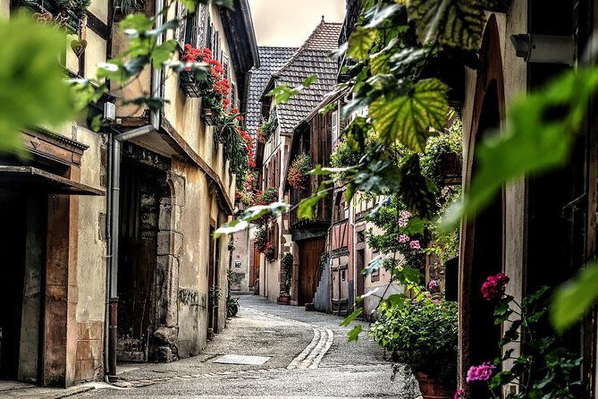 Colmar: Private guided walking tour of the Historical Center - Pricing and Value