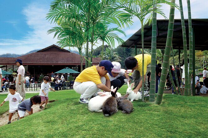 Colmar Tropicale and Batu Caves Day Trip (SIC - Join In Tour) - FAQs