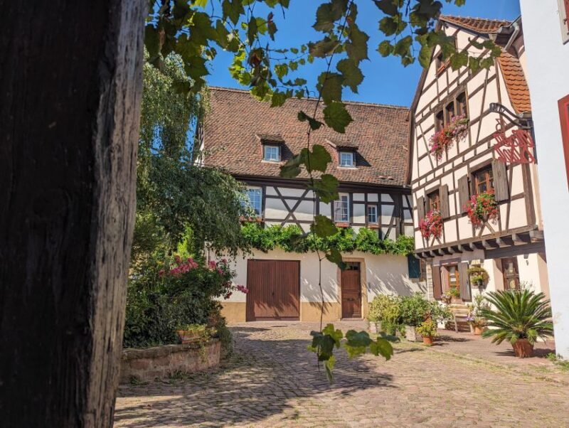 Colmar: Unusual Walking Tour with a local guide - A Deep Dive into the Colmar Experience