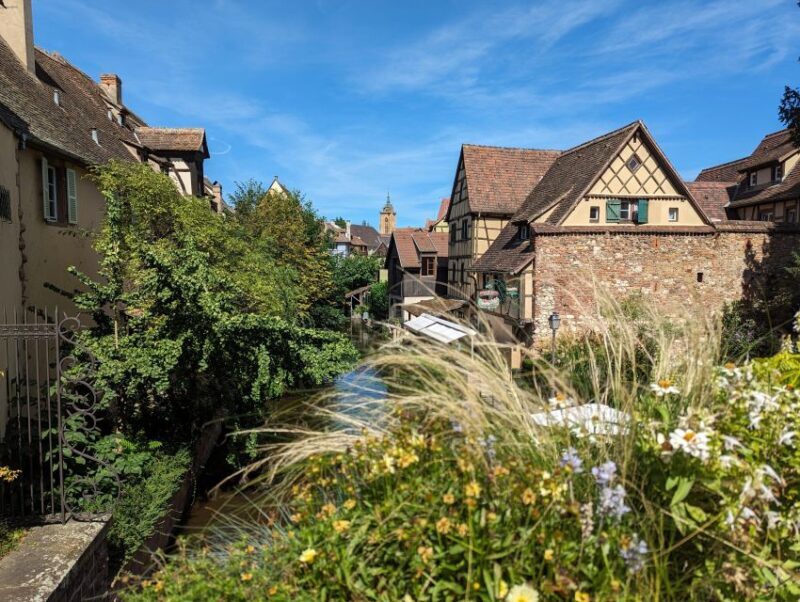 Colmar: Unusual Walking Tour with a local guide - Who Would Love This Experience?