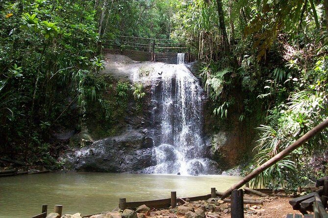 Colo-i-Suva Waterfall Tour (Suva) - Why Visit Colo-i-Suva?