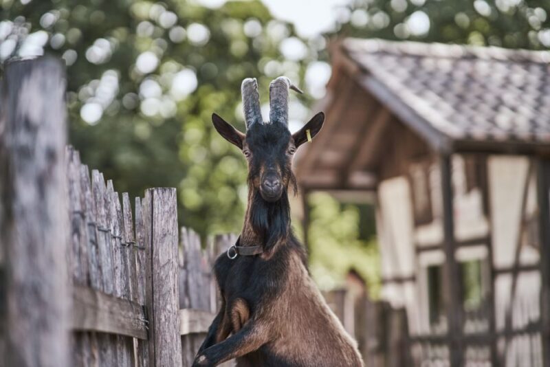 Cologne: Cologne Zoo and Aquarium Entry Ticket - Final Words