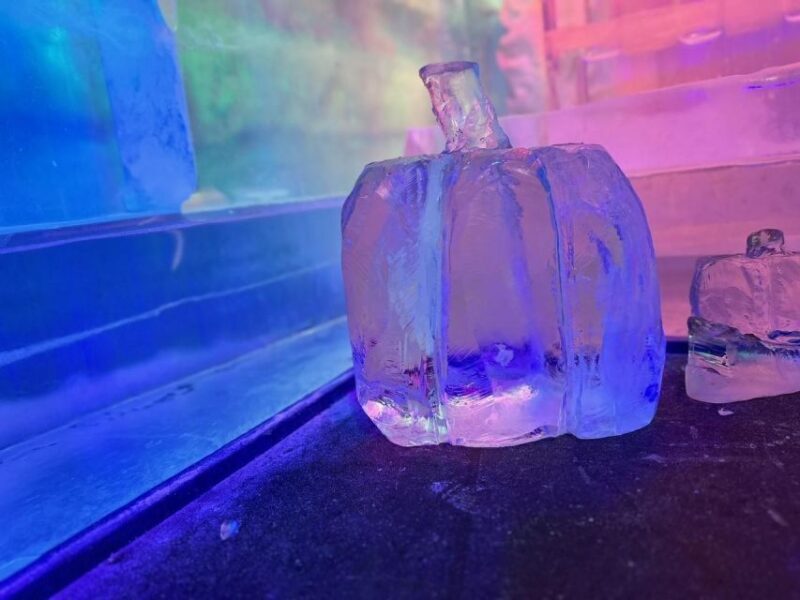 Cologne: IceBar Entry Ticket with Drinks - The Itinerary: What to Expect