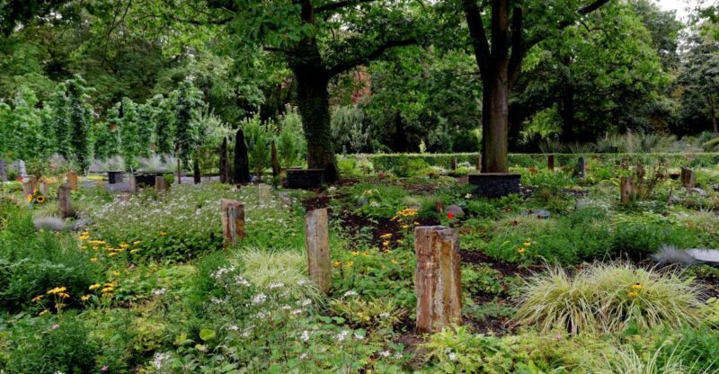 Cologne: Melaten Cemetery with Old Town Private Tour - A Deep Dive into the Experience