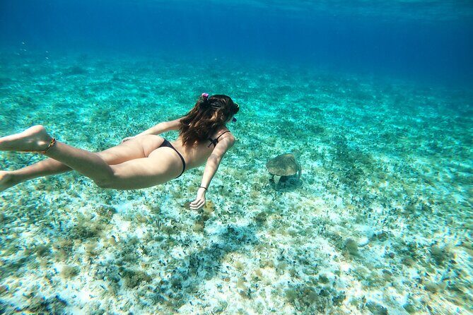 Colombia, Palancar & Cielo Cozumel Snorkel Tour - The Itinerary and What to Expect