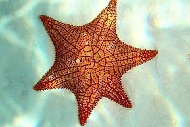 Colombia, Palancar & Cielo Cozumel Snorkel Tour - Final Thoughts